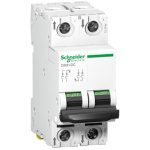 A9N61521 miniature circuit breaker C60H 2 poles 1 A C curve Schneider Electric pb107194 web