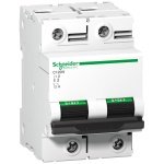 A9N18363 C120N circuit breaker 2P 125A C curve Schneider Electric pb107917 1500x1500