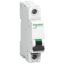 A9N1P50D miniature circuit breaker xC60 1 pole 50 A D curve Schneider Electric pb110811 1500x1500