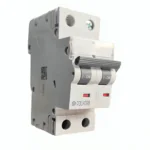 GMM202P008 2 Pole DP 63Amps MCB Polycab dp