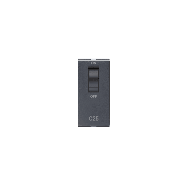 1M C32A SP MCB Graphit Grey Special 7 Lisha 7036 Image