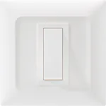 6A 1 way switch Indoasian Image