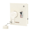 20A DP Caretron Plastic P S Box with MCB Indoasian Image