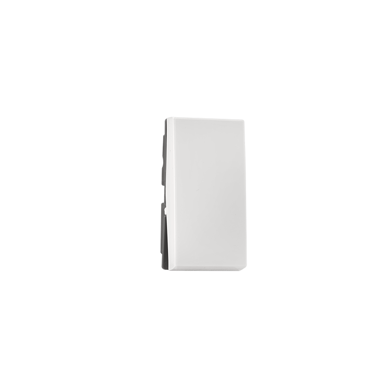 1 way 6A Switch Indoasian Image