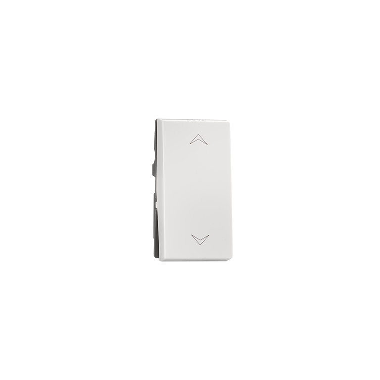2 way 6A Switch Indoasian Image