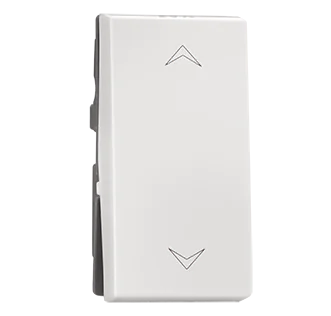 2 way 6A Switch Indoasian Image