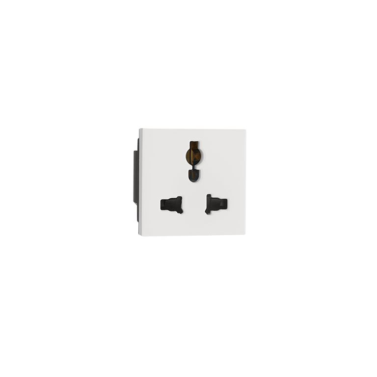 Multistandard socket Indoasian Image
