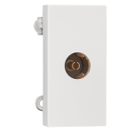 TV Socket Indoasian Image