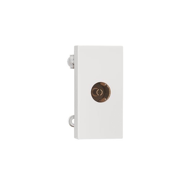 TV Socket Indoasian Image
