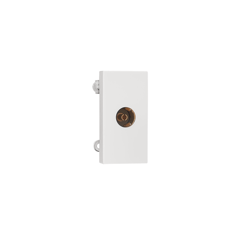 TV Socket Indoasian Image