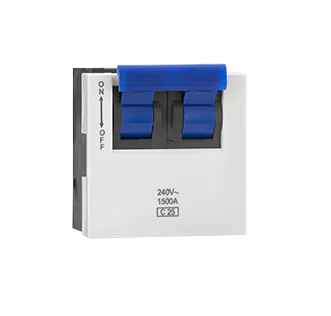 DP 25A MCB Indoasian Image