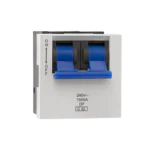 DP 32A MCB Indoasian Image