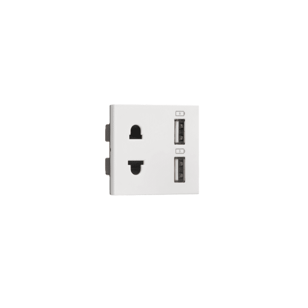 Combi Euro socket and USB Type A Type A 3.1A Indoasian Image