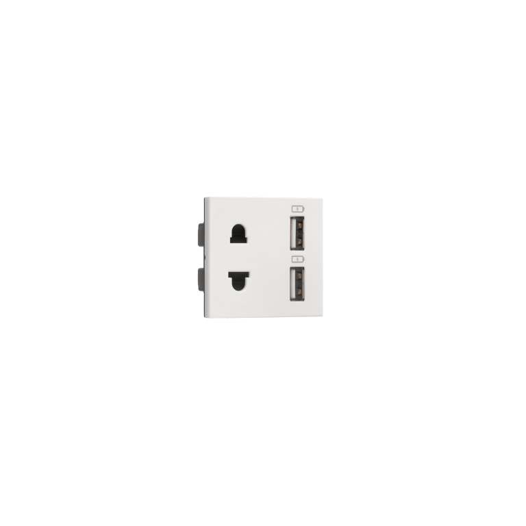 Combi Euro socket and USB Type A Type A 3.1A Indoasian Image