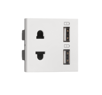 810671.png Combi Euro socket and USB Type A Type A 3.1A Indoasian Image