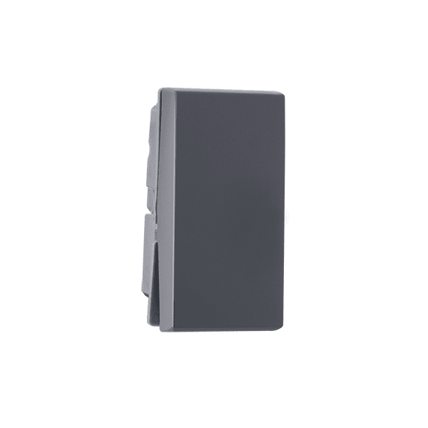 1 way 6A Switch Grey Indoasian Image