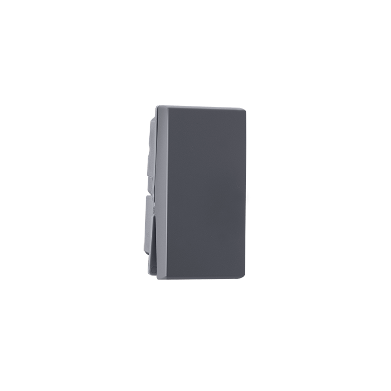 1 way 6A Switch Grey Indoasian Image