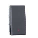 1 way 6A Switch with Indicator Grey Indoasian Image