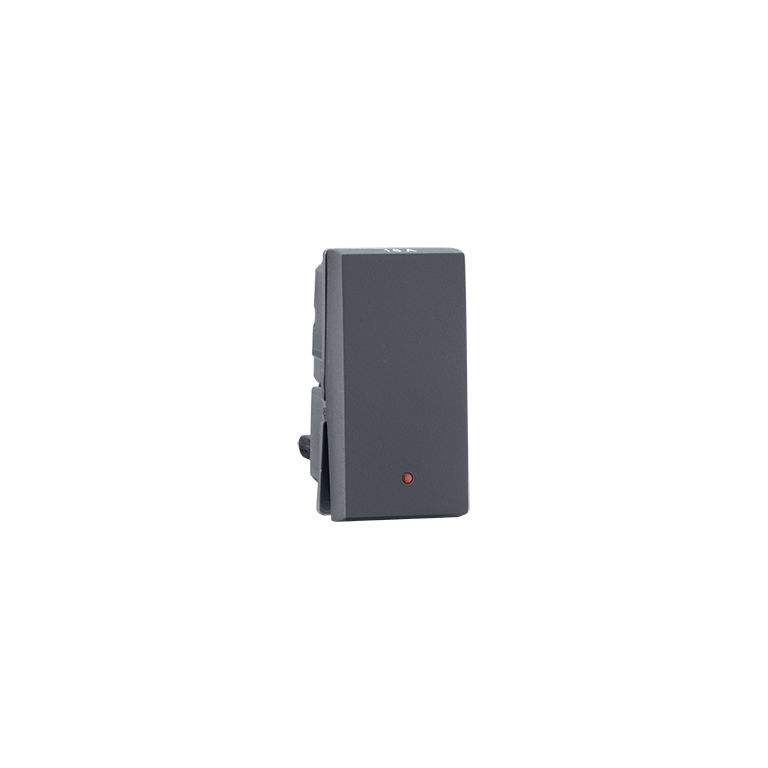 1way switch 16A with indicator Grey Indoasian Image