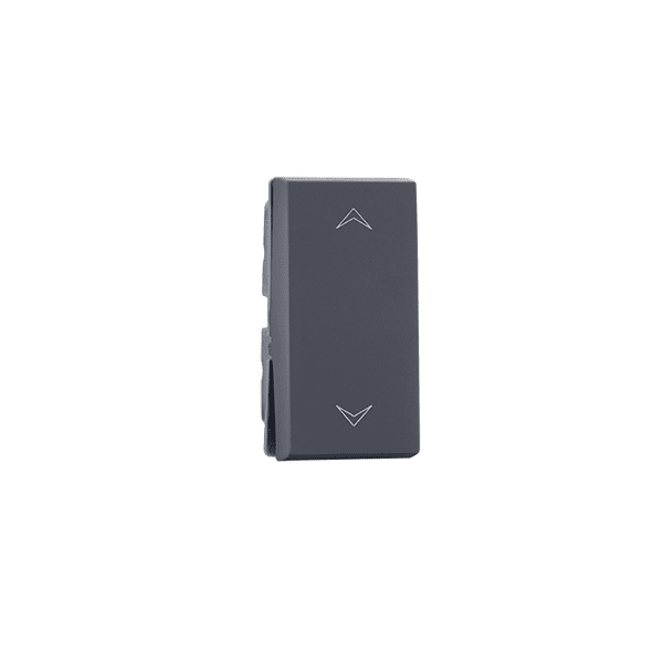 2 way 6A Switch Grey Indoasian Image