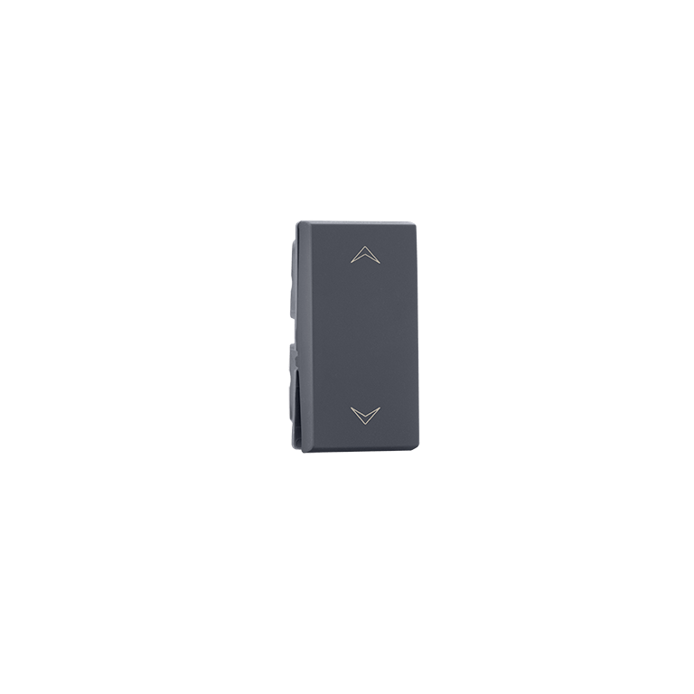 2 way 6A Switch Grey Indoasian Image