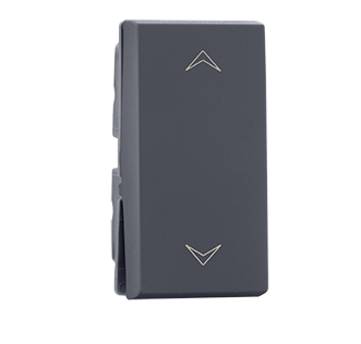 810710.png 2 way 6A Switch Grey Indoasian Image