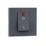 32A DP Switch with indicator Grey Indoasian Image