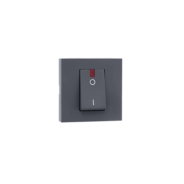 32A DP Switch with indicator Grey Indoasian Image