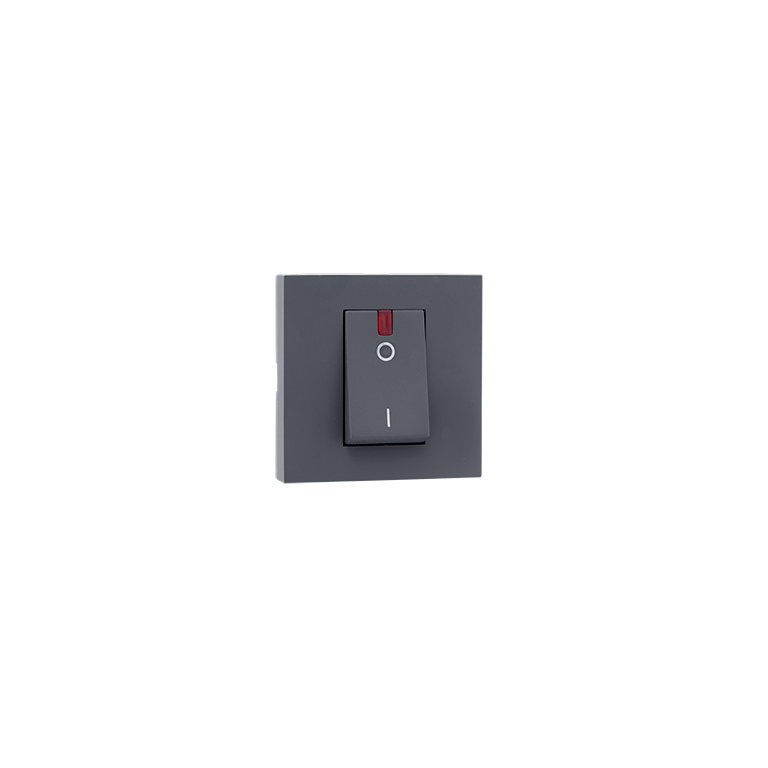 32A DP Switch with indicator Grey Indoasian Image