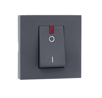 810713.png 32A DP Switch with indicator Grey Indoasian Image