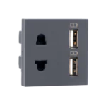 Combi Euro socket and USB Type A Type A 3.1A Grey Indoasian Image