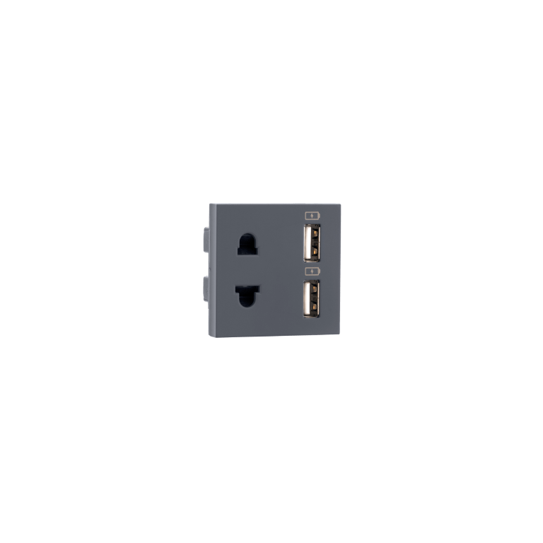 Combi Euro socket and USB Type A Type A 3.1A Grey Indoasian Image