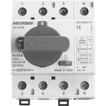 Switch Disconnector TSE ONLOAD CHANGEOVER - Din Frame Indoasian lg 824008 web f 2