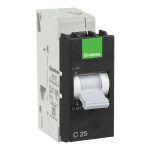 25 A SP C Mini MCB Havells DCWNCSPA02500MR dcwncspa02500mr