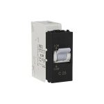 25 A Mini MCB Soot Black Havells DHGNCSPA02500MR dhgncspa02500mr
