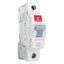 MCB SP C Curve 20 A Havells DHMGCSPF020 dhmgcspf020