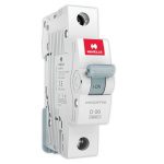 MCB SP D Curve 6 A Havells DHMGDSPF006 dhmgdspf006