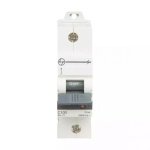 AU HR MCB 80A SP 240V AC 15kA C Curve L T AU15S10803C au15s11003c au 15 mcb 15ka c100 1p front
