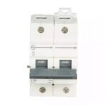AU HR MCB 125A DP 240V AC 15kA C Curve L T AU15S21253C au15s21003c au 15 mcb 15ka c100 2p front