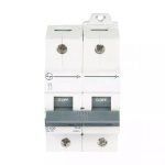 AU HR MCB 80A DP 240V AC 15kA D Curve L T AU15S20803D au15s21003d au 15 mcb 15ka d100 2p front
