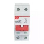 EXORA Isolator 100A DP 240V AC L T BF210000 bf206300 isolator 2p 63a switch disconnector front