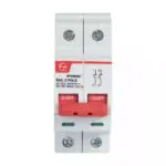 EXORA Isolator 100A DP 240V AC L T BF210000 bf206300 isolator 2p 63a switch disconnector front
