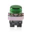 Teknic Pilot Light with Integral LED Flasher Green 2PLBR3LF 24V 2plb3