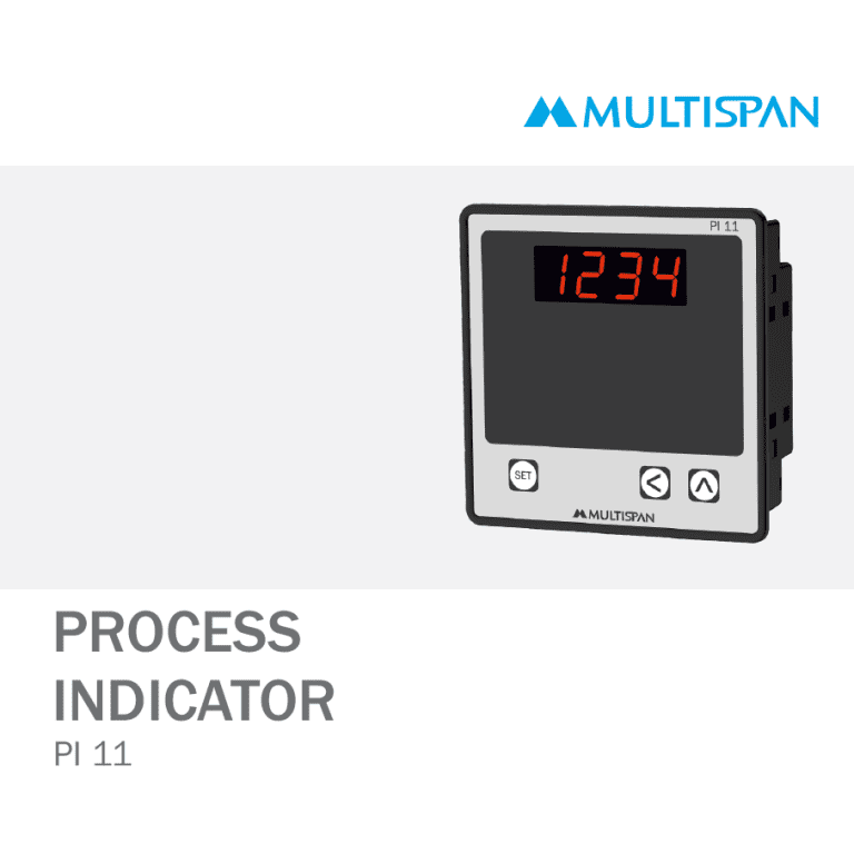PI-11 PROCESS INDICATOR 96 x 96 x 43 MULTISPAN 654993capture