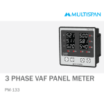 PM-133 6 Display AVF METER 96 X 96 X 54 MULTISPAN 83128capture