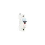 DX3 1 Pole C6A AC MCB 408587 Legrand lg 408587 web r zvtsqsrlkdf0zha5