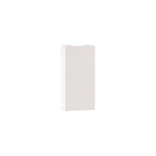 MYRIUS Blanking Plate-1 Module-Classic White Legrand 679276 lg 679276 web r