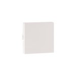 MYRIUS Blanking Plate-2 Module-Classic White Legrand 679277 lg 679277 web r
