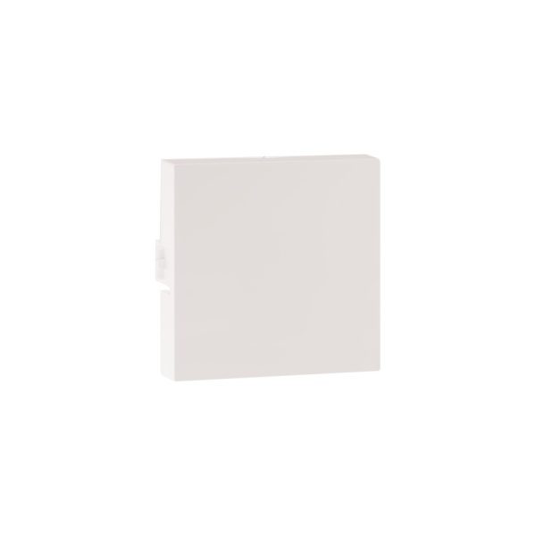 MYRIUS Blanking Plate-2 Module-Classic White Legrand 679277 lg 679277 web r