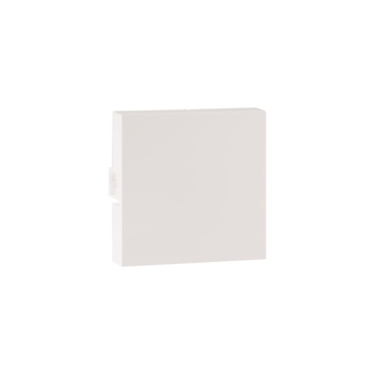 MYRIUS Blanking Plate-2 Module-Classic White Legrand 679277 lg 679277 web r
